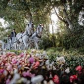 Permalink to Brides.com Controversy