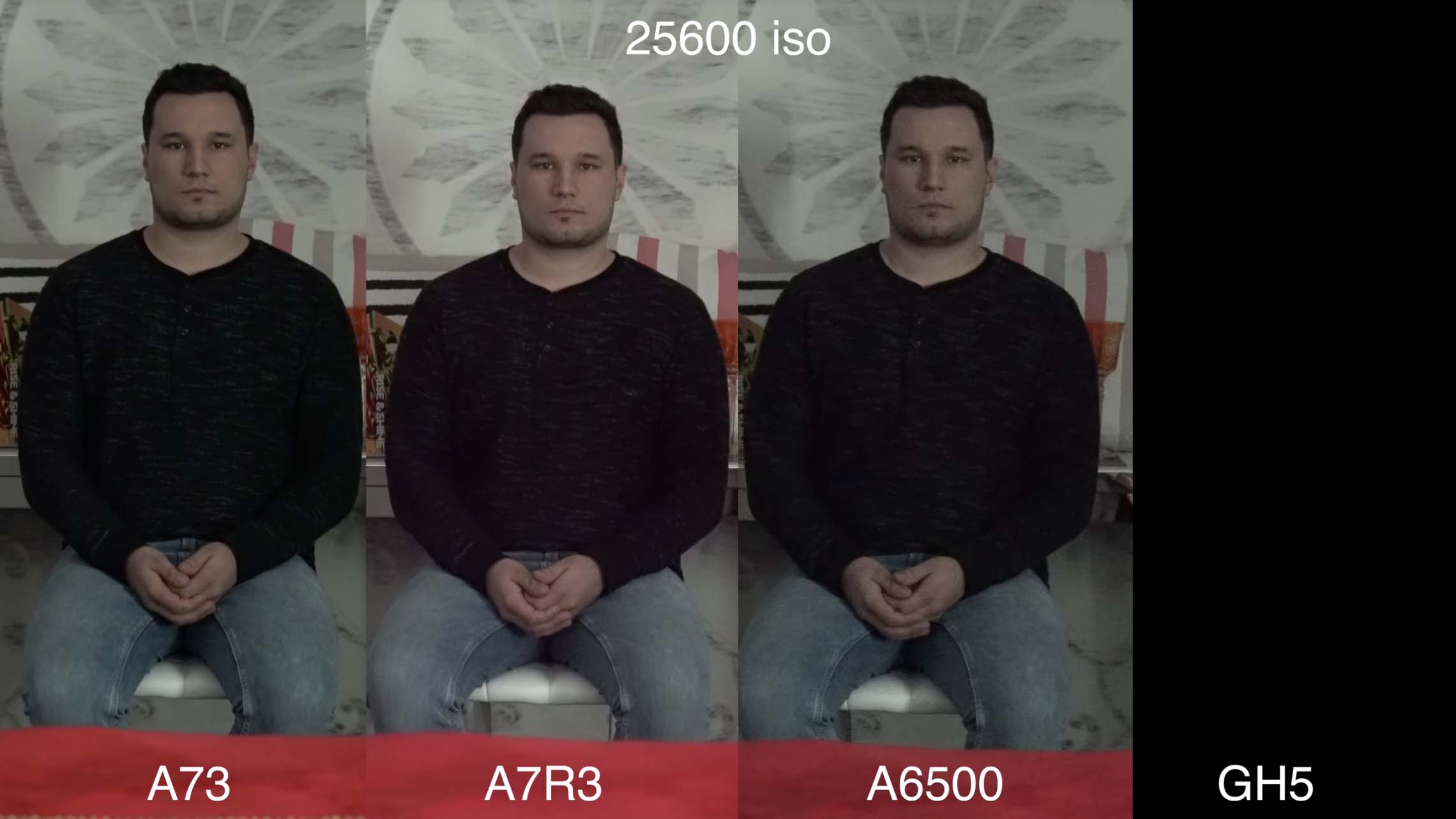 nærme sig Motherland Åh gud Max Yuryev's Sony a7III Lowlight Comparison: a7III vs a7RIII vs a6500 vs  GH5 - Sony Addict