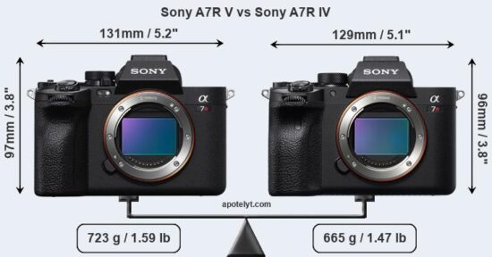 Size Comparson Sony a7RV vs a7RIV - Sony Cameras Are Getting